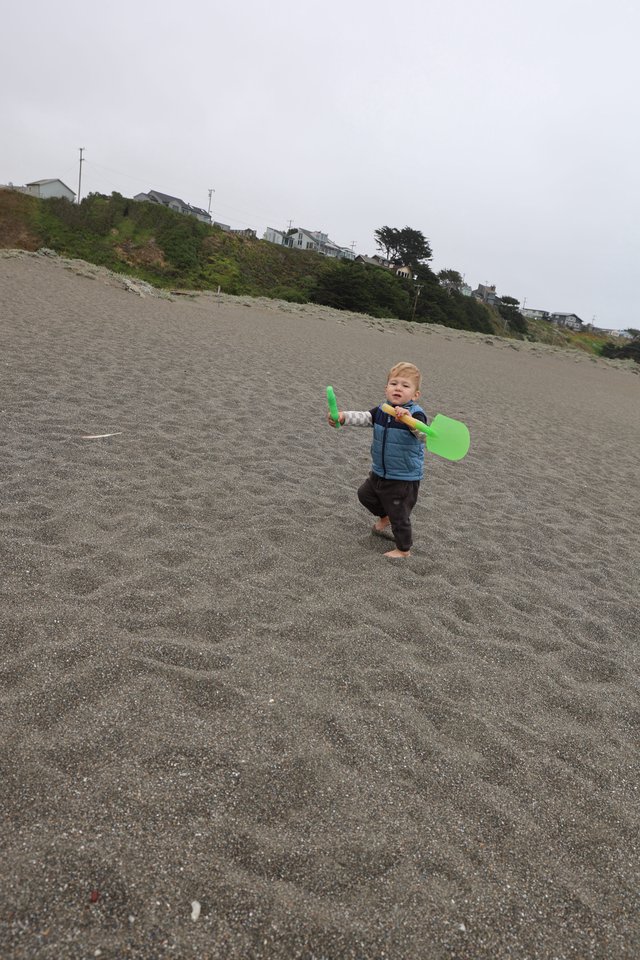 Toddler's Big Adventure on a Gray Beach