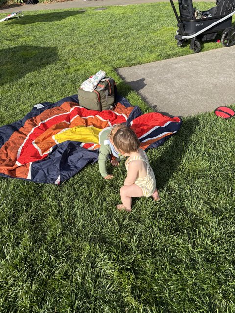 Afternoon Play at the Botanical Garden