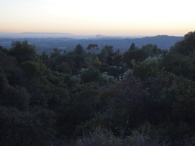 City View from Hillside