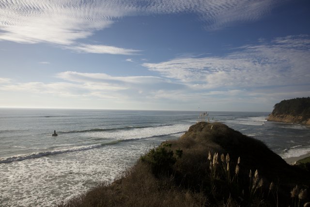 Immersed in Boundless Blue: Cliffside Perch at Halfmoon Bay