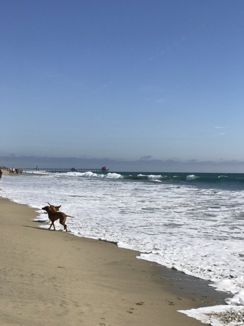 Running with the Waves