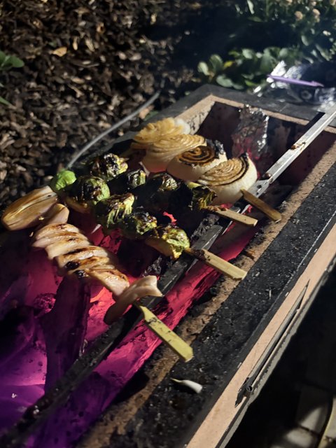 Sizzling Skewers Under the Stars