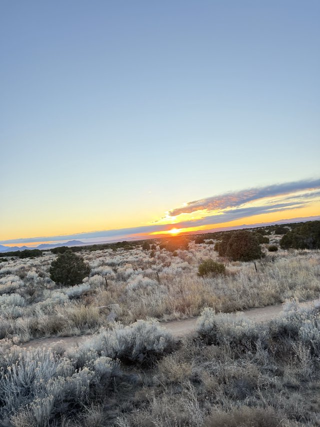 Desert Sunset Over Sagebrush Landscape in New Mexico