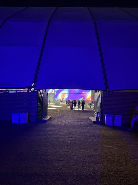 Gateway to the Night Vibrance