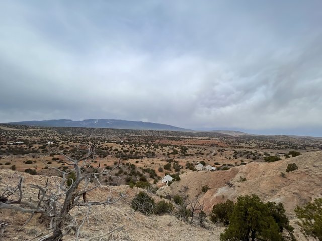 Spectacular Desert View from Hilltop