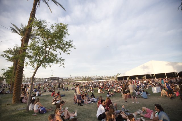 Summer Concert amid Palm Trees at Coachella