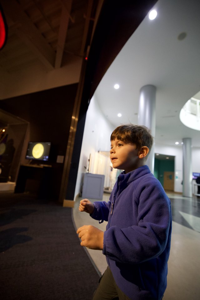 Young Visitor Captivated by Museum Exhibit at Night