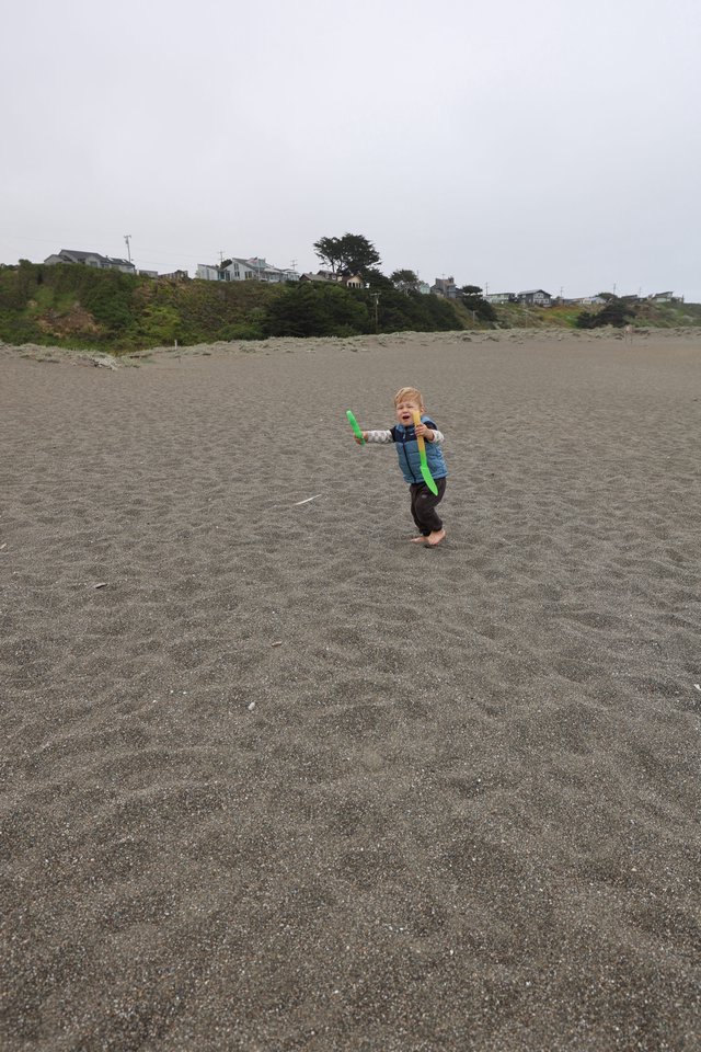 Joyful Toddler Playing with Boomerang on Foggy Beach