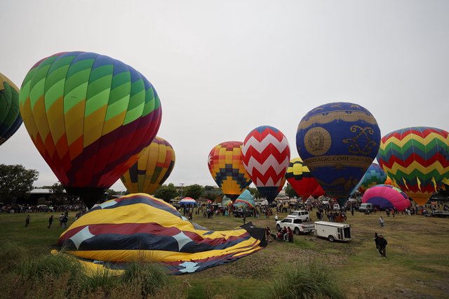 Colorful Hot Air Balloons Rise at Sonoma County Classic