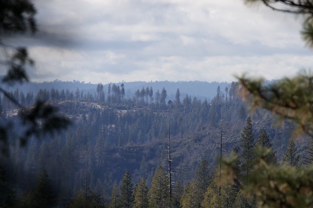 Smoke and Haze Over Fire-Scarred Sierra Nevada Forest