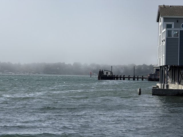Serene Afternoon at Bodega Bay