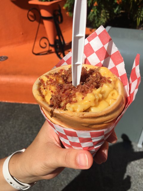 Delicious Mac and Cheese in Disneyland