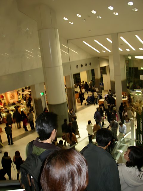 A Shopping Frenzy at the Mall