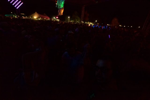 Nighttime Crowd Rocking Out at Coachella