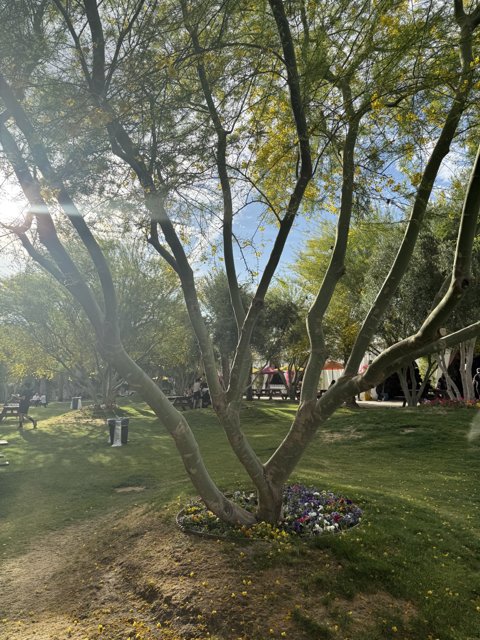 Sun-Kissed Serenity at Empire Polo Club