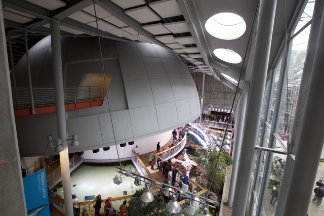 The Planetarium Dome