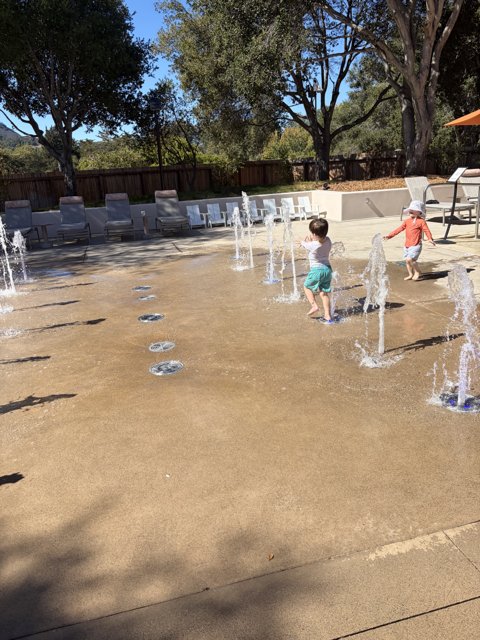 Splashes of Joy in Carmel