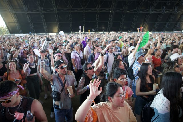 Enthusiasm Unleashed: Coachella 2024 Crowd Vibes