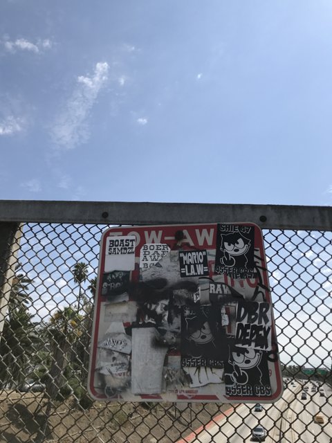 Graffiti on a Fence