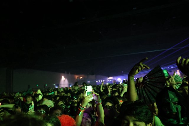 Electric Night: Crowd Surges at Wobbleland 2026