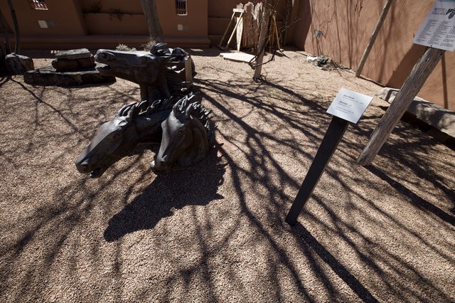 Fossilized Dinosaur Skull Display in Desert Courtyard