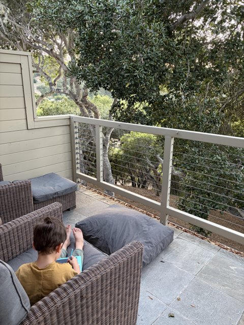 Tranquil Moments on the Balcony