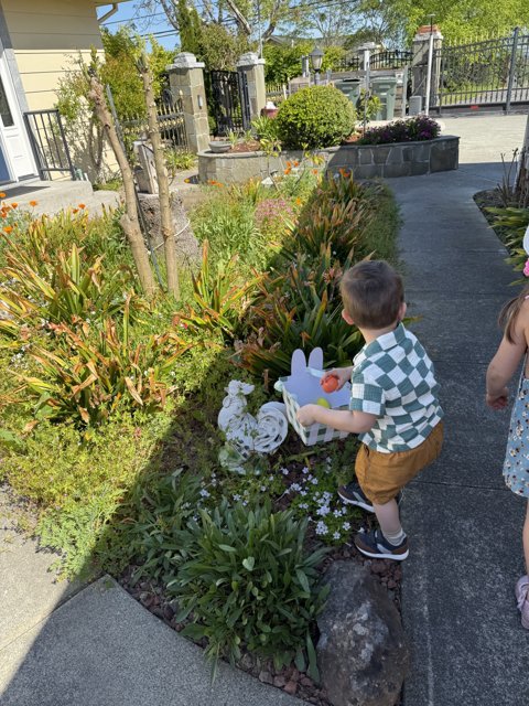 Springtime Discoveries