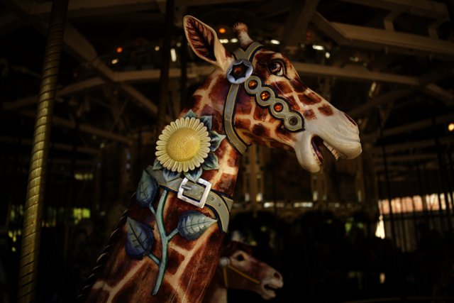 The Carousel Giraffe at Golden Gate Park