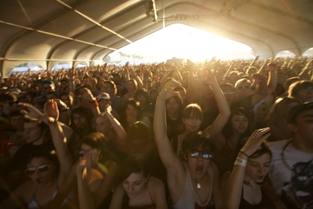 2008 Coachella music festival crowd