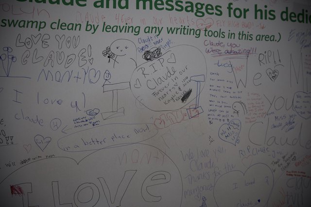 Memorial Wall Tribute with Heartfelt Messages and Drawings