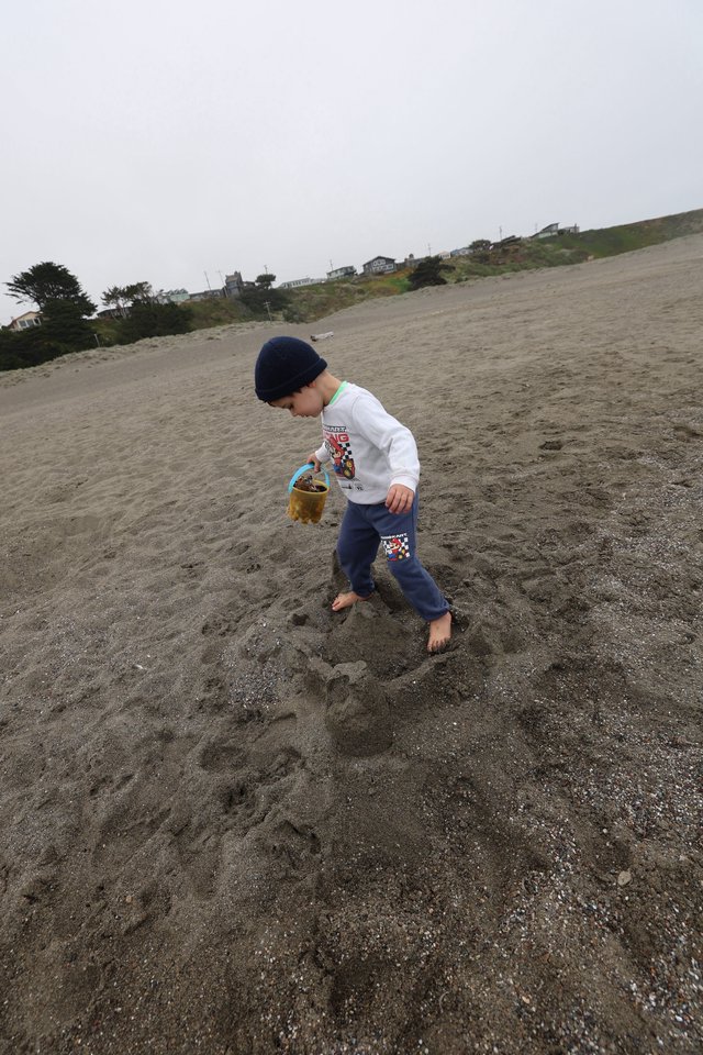 Young Boy Exploring Foggy Beach with Sand Bucket