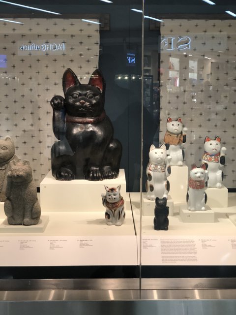 Feline Figurines on Display