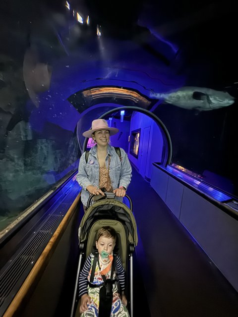 Underwater Journey at the Aquarium of the Bay