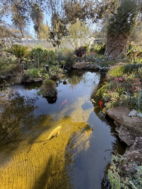 Serenity at the Pond