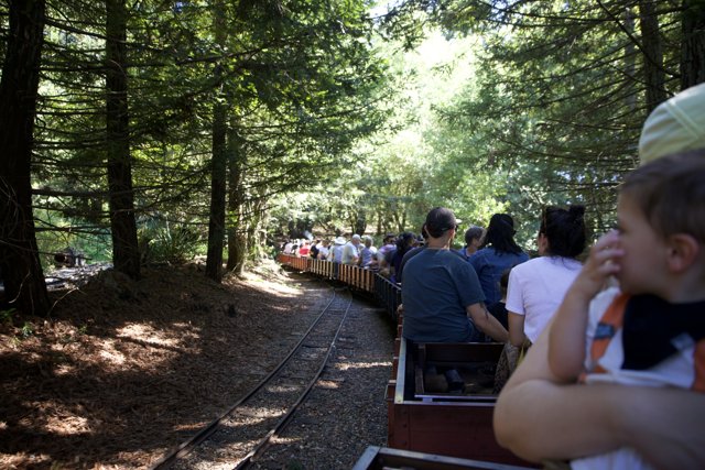 Journey Through the Woods: A Day Aboard the Tilden Steam Train
