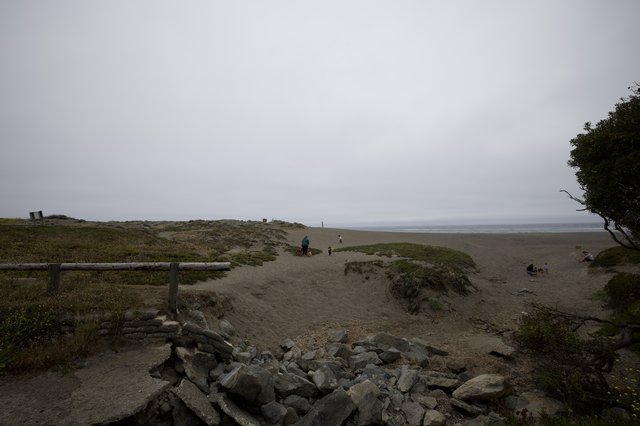 Overcast Beach Dunes on a Gray Summer Day