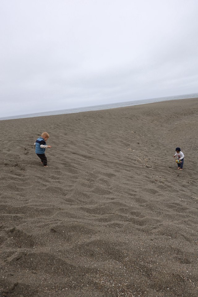 Two Toddlers Exploring a Vast Overcast Beach