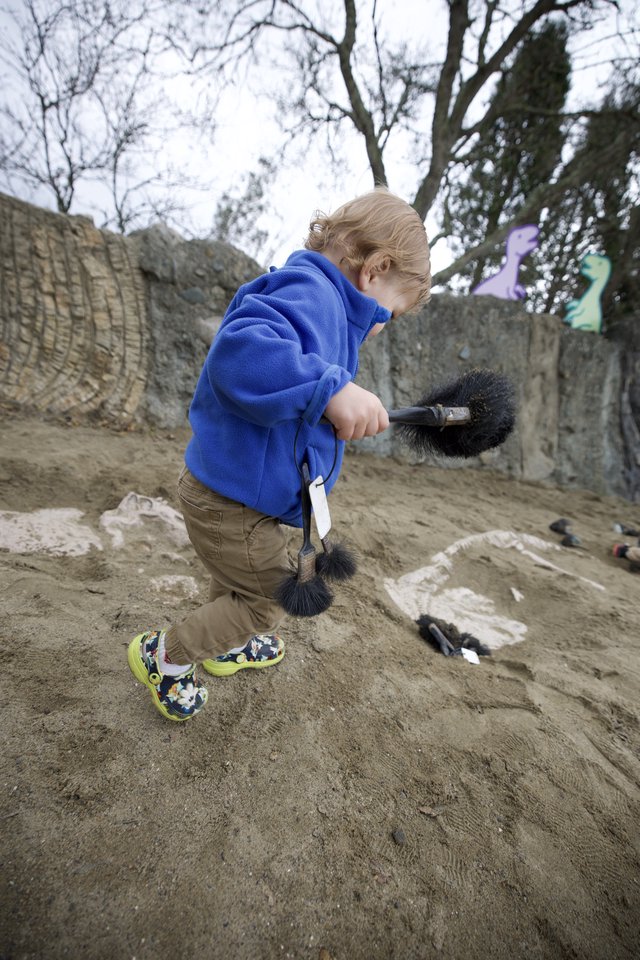 Young Child Engaged in Archaeological Play with Brushes