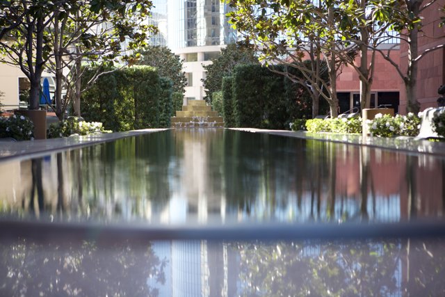Reflections of Architecture in a Garden Pool