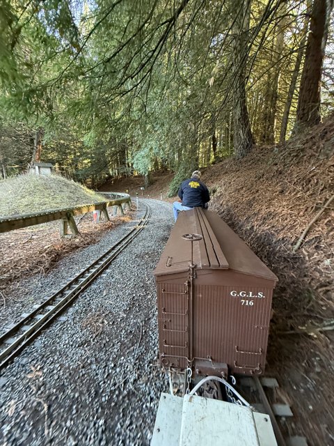 Journey Through the Tilden Woods