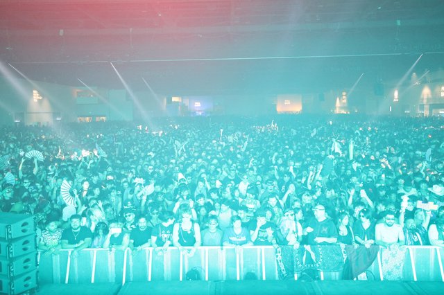 Massive Crowd Surges at Wobbleland 2026 Festival