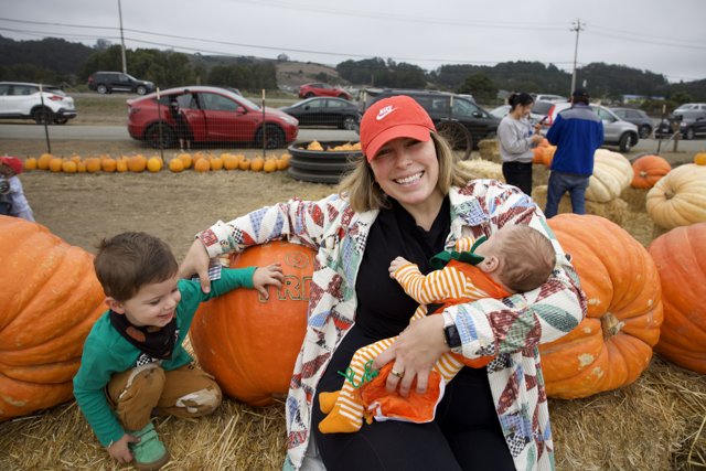 Harvest Joy