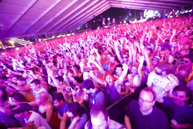 Hands in the Air at Coachella 2012
