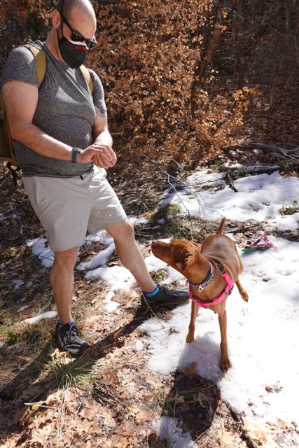Man and Dog Hiking in the Snow