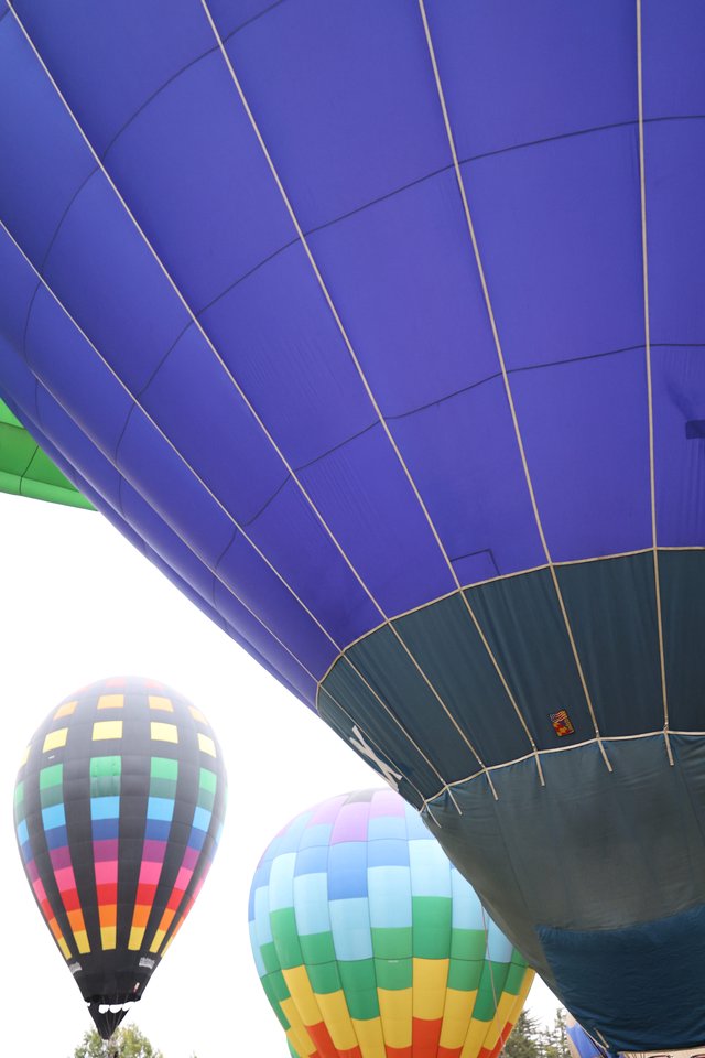 Rainbow of Giants: Hot Air Balloons at Ground Level