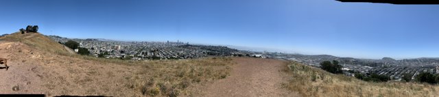 A 360° View of San Francisco's Scenic Wilderness from Bernal Heights Park