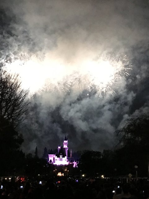 Castle on Fireworks