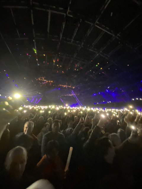 Lights Up: The Electric Energy of a Concert Crowd