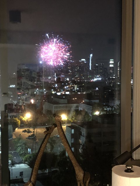 City Lights and Fireworks Spectacular