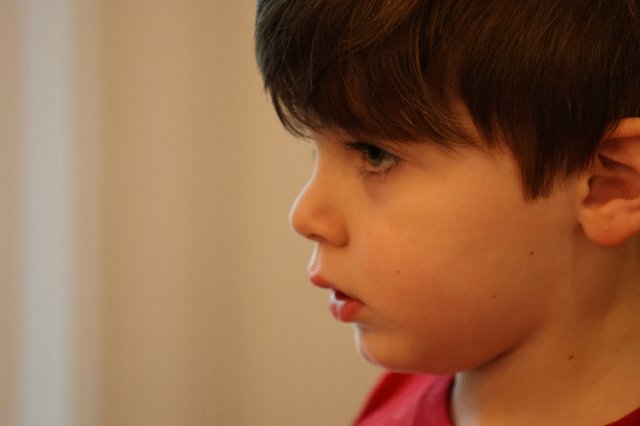 Young Boy in Contemplative Profile Portrait